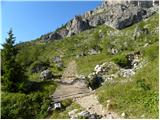 Palafavera - Rifugio Torrani